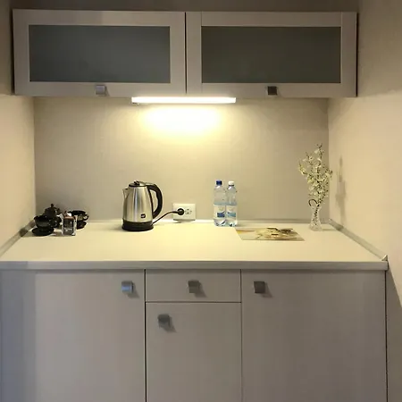Penthouse In Eney * Lviv
