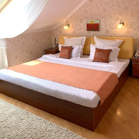 酒店 Penthouse In Eney 利沃夫